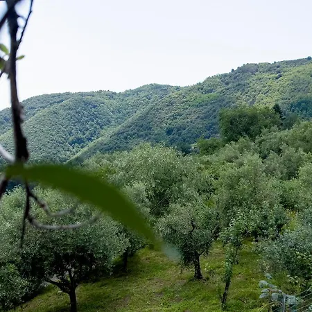 Casa Teresa